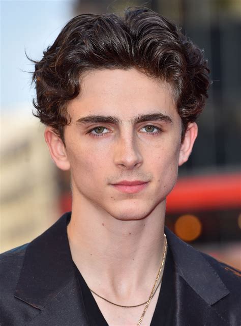 timothee Chalamet face